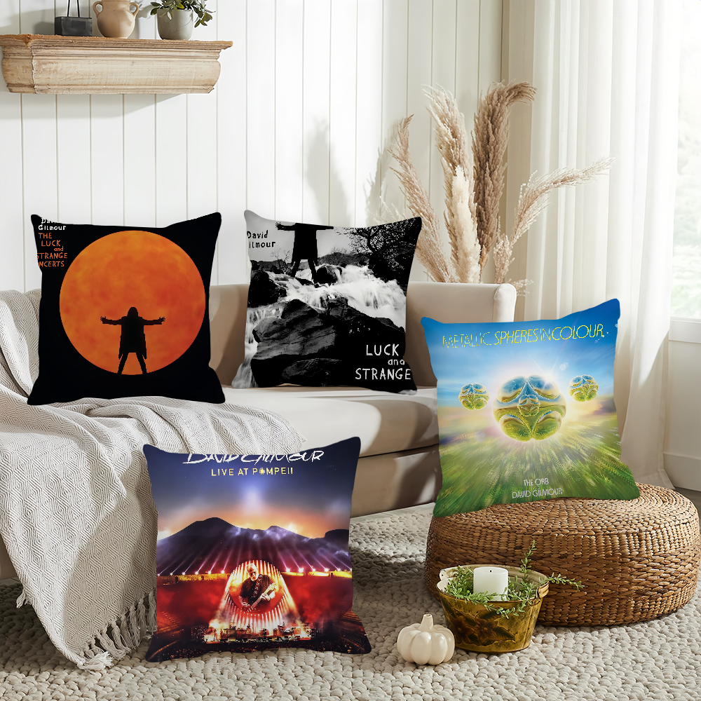 Singer D-David G-Gilmour Pillo - Pillow Cover 20X20 reseña y precio