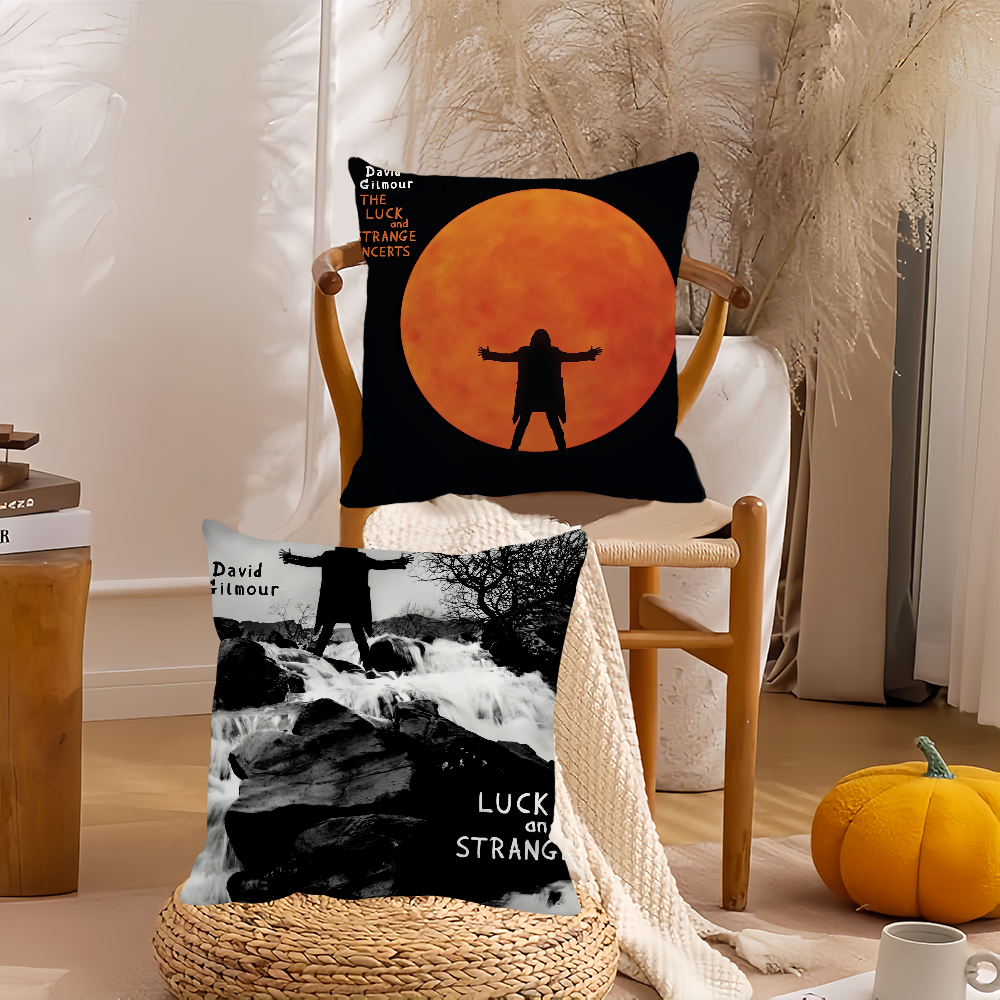 Singer D-David G-Gilmour Pillo - Pillow Cover 20X20 reseña y precio