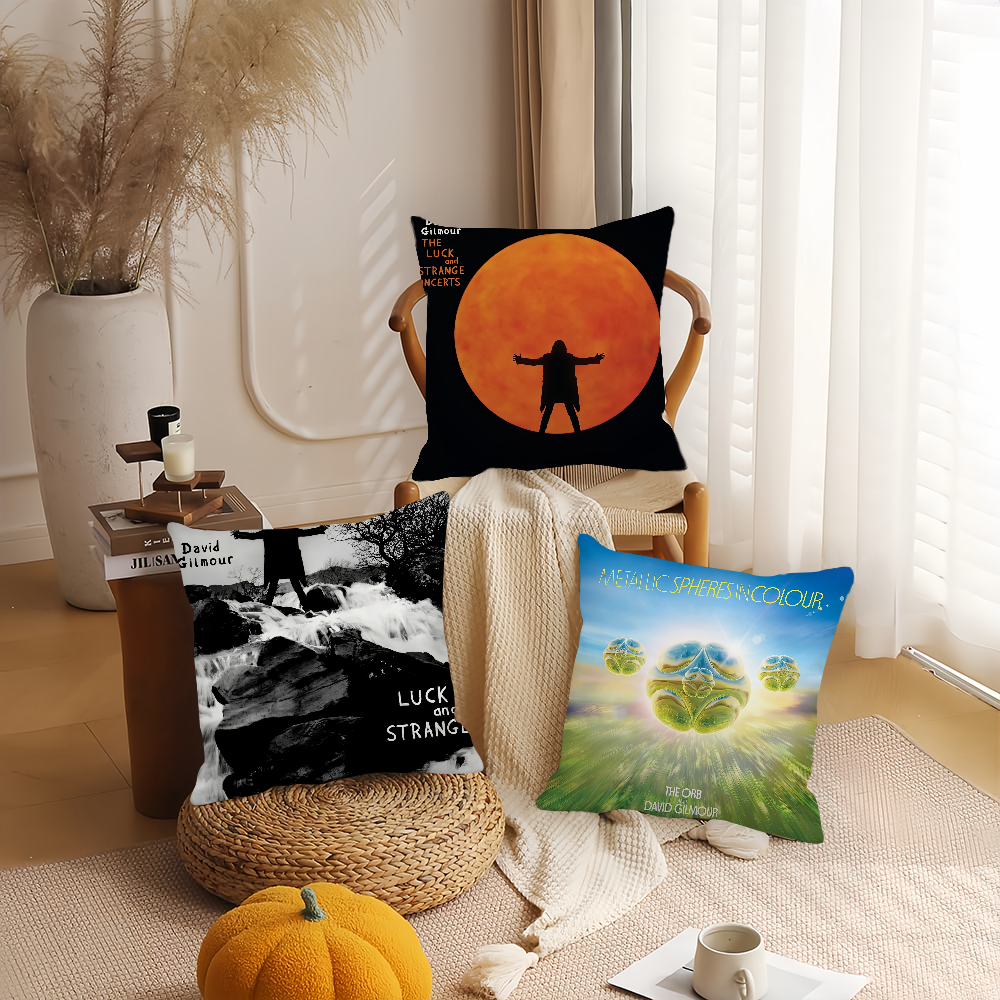 Singer D-David G-Gilmour Pillo - Pillow Cover 20X20 reseña y precio