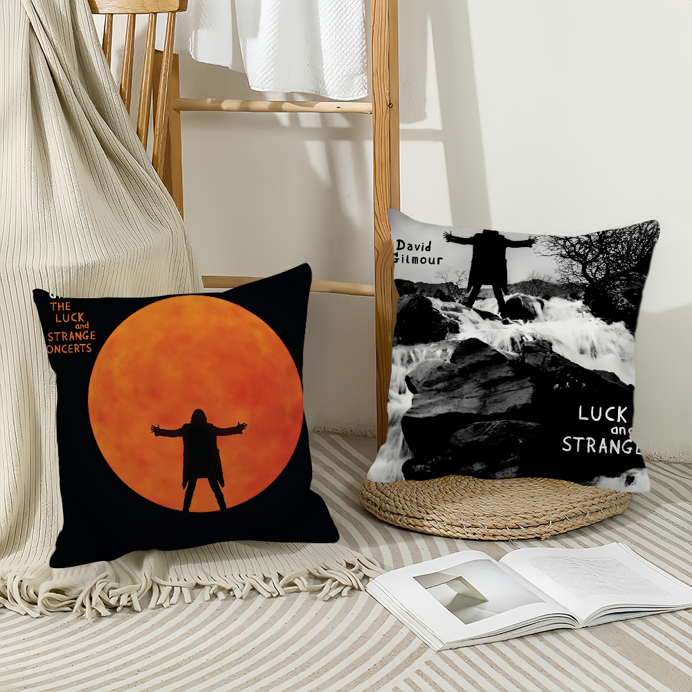 Singer D-David G-Gilmour Pillo - Pillow Cover 20X20 reseña y precio